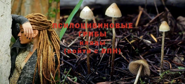 прущая мука Беломорск