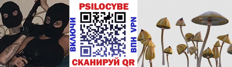 Псилоцибиновые грибы прущие грибы Чёрмоз